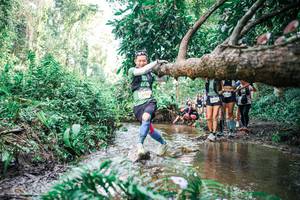 BIB: 
                            <button type="button" onclick="openModal(25515715)" class="btn btn-primary btn-sm float-right btn-popup" data-toggle="modal" data-target=".modal-high-quality">
                        <i class="fas fa-shopping-cart"></i> Add to Cart
                    </button>
                                            <button type="button" onclick="isThisMe(25515715, true)" class="btn btn-success btn-sm float-right btn-popup btn-isme hidden" data-toggle="tooltip" data-placement="bottom" title="นี่คือรูปของคุณใช่ไหม คลิกที่นี่เพื่อเอาเข้าอัลบั้ม">
                        <i class="fas fa-plus"></i> Add to album
                    </button>
                    <button type="button" onclick="isThisMe(25515715, false)" class="btn btn-warning btn-sm float-right btn-popup btn-isnotme hidden">
                        <i class="fas fa-ban"></i> Remove from album
                    </button>